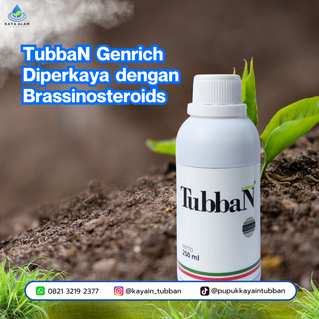 Brassinosteroids: Hormon Alami Penentu Kekuatan dan Produktivitas Tanaman